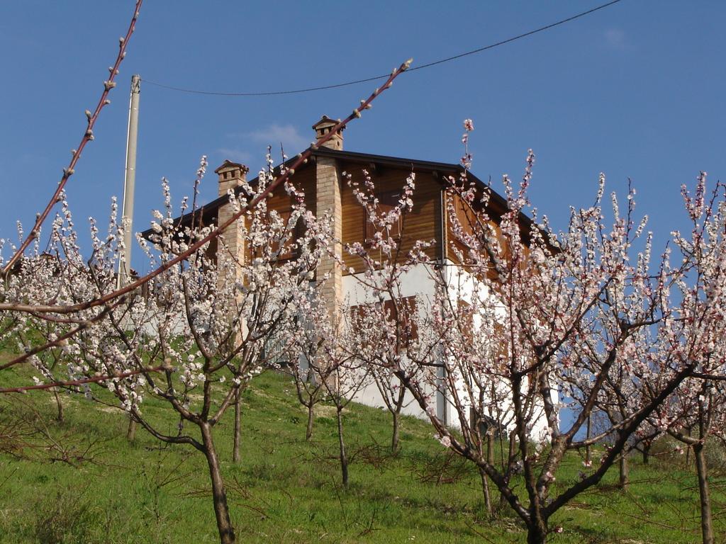 Casa Dell' Abbondanza B&B Agriturismo Vigoleno Exterior foto